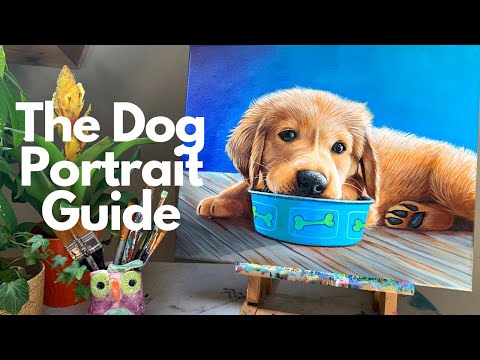 Видео: Как нарисовать портрет собаки шаг за шагом
