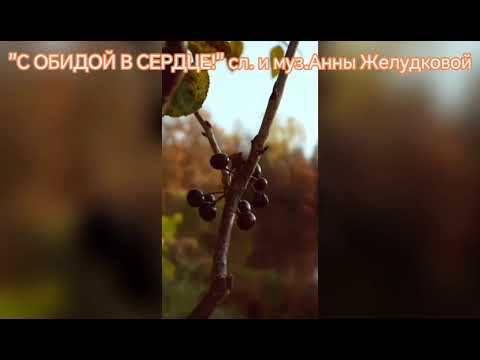 Видео: "С ОБИДОЙ В СЕРДЦЕ!" (сл. и муз. Анны Желудковой)