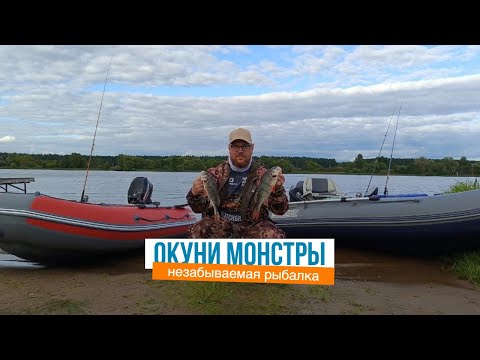 Видео: Окуни монстры. Нереальная рыбалка.