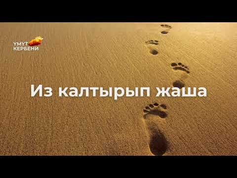 Видео: Из калтырып жаша
