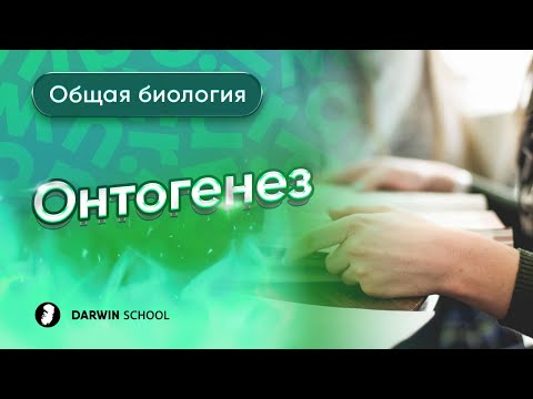 Видео: Тема № 7: Онтогенез