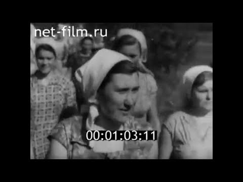Видео: 1961г. пос. Токарёвка колхоз Память Ильича Токаревский район Тамбовская обл
