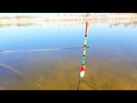 Видео: ЛОВЛЯ КАРАСЯ на КЕРОСИН ! ДЕДОВСКИЙ СПОСОБ РАБОТАЕТ. #рыбалка #ловлякарася #карасьнапоплавок