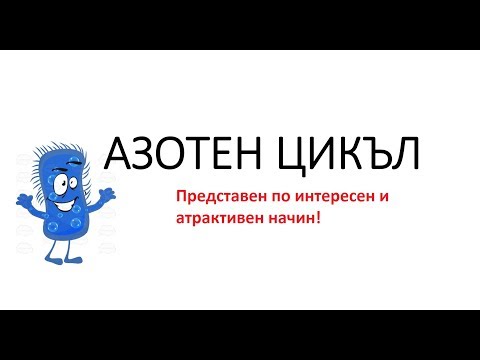 Видео: Азотен цикъл в аквариум с декоративни рибки