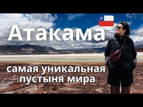 Видео: Пустыня Атакама. Природа, от которой сносит крышу