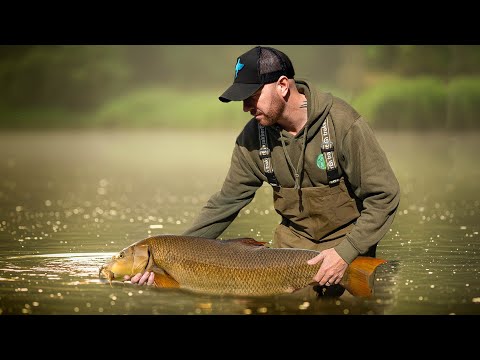 Видео: Давно пора было это сделать! — Ловля усача на реке Трент