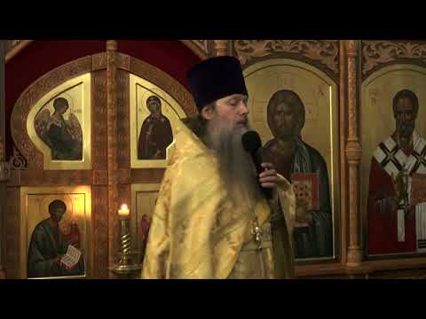 Видео: "Об исцелении ума".  Проповедь протоиерея Артемия Владимирова. 091125.