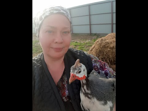 Видео: Дела мои бабские на хозяйстве. Часть 4-я.Еще много серий впереди.