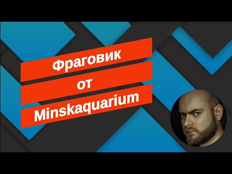 Видео: Мой второй аквариум "фраговик".