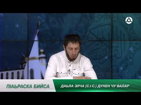 Видео: П1аьраска бийса.  Даьла элча (с.1.с.) дунен чу валар