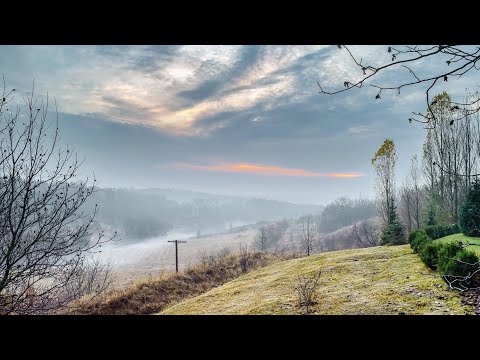 Видео: Честнейшую, глас 3.Киев, Ионинский монастырь, 06.11.2021