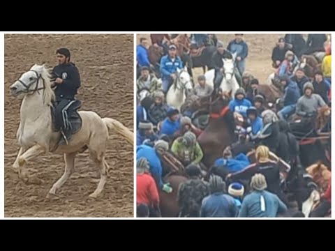Видео: Tajikistan калонтарин Бузкаши ш Хисор 09 03 2024