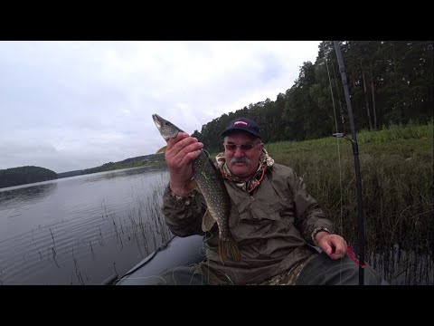 Видео: Отмечаем День рождения на природе.