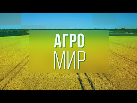Видео: ДАЛЬНЕЙШИЙ ПУТЬ УРОЖАЯ