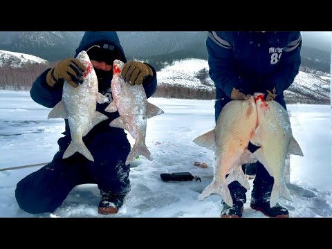 Видео: ДАЖЕ В ЛУНКУ НЕ ВЛАЗЯТ! ТАЩИ БАГОР! Такого мы не ожидали! Ловля крупного ЛЕЩА зимой.