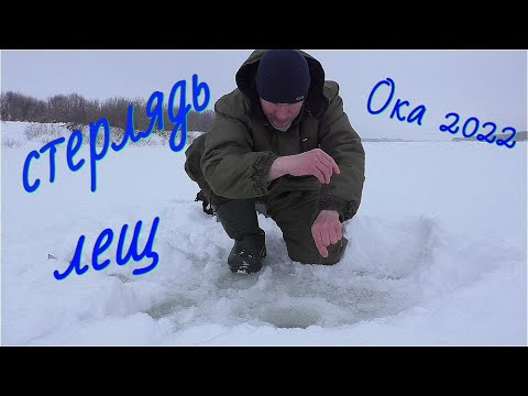 Видео: Рыбалка на Оке на ПОДТЯГ! КРУПНАЯ РЫБА! ЛЕЩ СТЕРЛЯДЬ РЫБАЛКА 2022 ФЕВРАЛЬ!