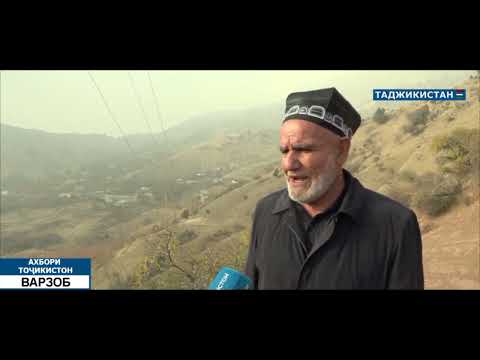 Видео: Бунёди неруи барк дар новакандоз