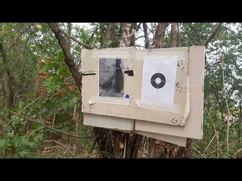 Видео: 25 августа 2024 г.