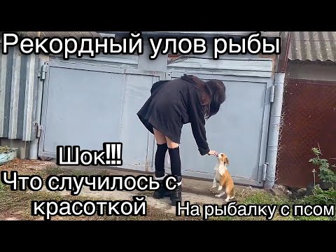Видео: ЭТО ЛУЧШАЯ РЫБАЛКА С КРАСОТКОЙ ДЕВЧОНКОЙ ОСЕНЬЮ НА ЩУКУ