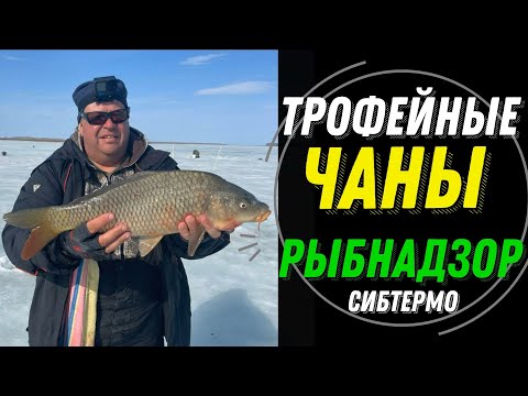 Видео: 4 ДНЯ РЫБЫ ЗАКРЫТИЕ СЕЗОНА! ТАКОГО УЛОВА ЕЩЕ НЕ БЫЛО! РЫБНАДЗОР СИБТЕРМО КОШМАРИТ РЫБАКОВ В РАБОТЕ!