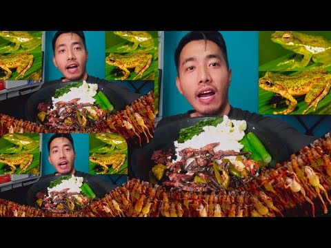 Видео: Поедание лягушки🐸// Время историй 😭😔