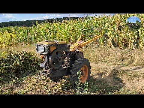 Видео: Мотоблок кентавр з лапой для картошки.