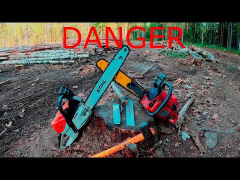 Видео: Валка ОПАСНЫХ деревьев на ЛЭП!!! Шкалит АДРЕНАЛИН!!!