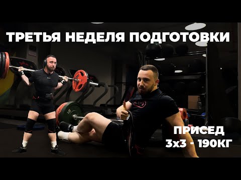 Видео: ПОДГОТОВКА К "ВОЛЖСКОЙ БИТВЕ" НАЧАЛИ ПОЯВЛЯТЬСЯ СИЛЫ?