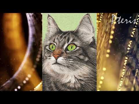 Видео: Курс ФОТОвышивка модуль Животные