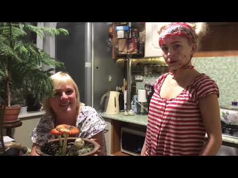 Видео: Как вырастить мухоморы на подоконнике?