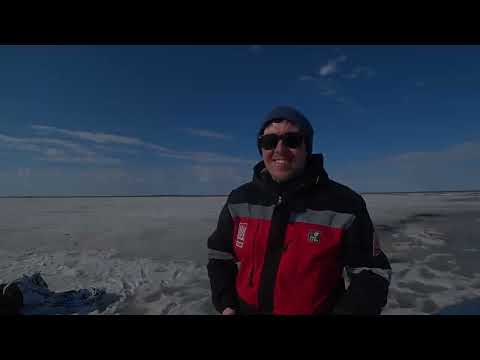 Видео: Весенняя охота на гуся 2024