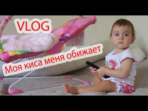 Видео: VLOG Моя киса меня обижает. Мои игрушки.