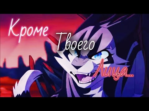 Видео: Кᴏᴛы-Вᴏиᴛᴇᴧи ᴋᴧиᴨ - [ Кᴩᴏʍᴇ ᴛʙᴏᴇᴦᴏ ᴧицᴀ ]