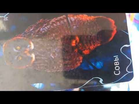 Видео: БЛИЗНЕЦЫ. ОКТЯБРЬ 2025. ПРОГНОЗ НА МЕСЯЦ ОТ 07.10.2025 #близнецытаропрогноз #близнецыоктябрь2025