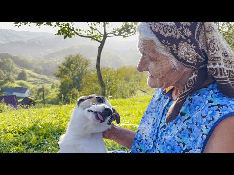 Видео: Удивительная жизнь бабушки на вершине горы. Сельская жизнь в Карпатах