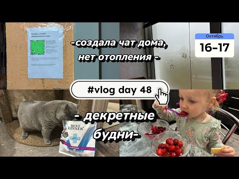 Видео: Создала чат дома 🏘️ | поменяли корм Тасе 🐈‍⬛| ежедневна уборка 🧹| декретные будни |vlog day 48