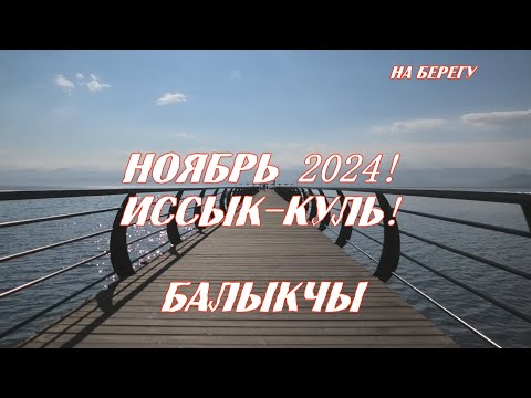 Видео: Иссык-Куль 2024! Тихий ноябрь! Балыкчы.