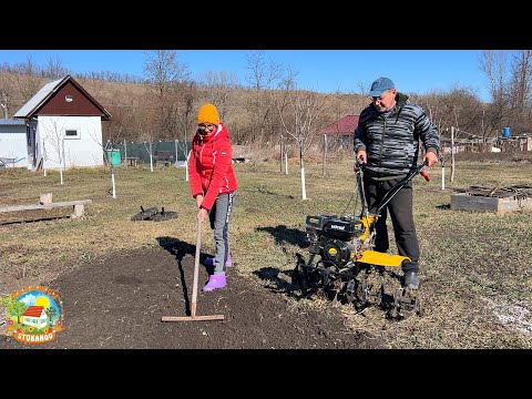 Видео: ОТКРЫЛИ огородный СЕЗОН 2024! Посадили лук и картошку!