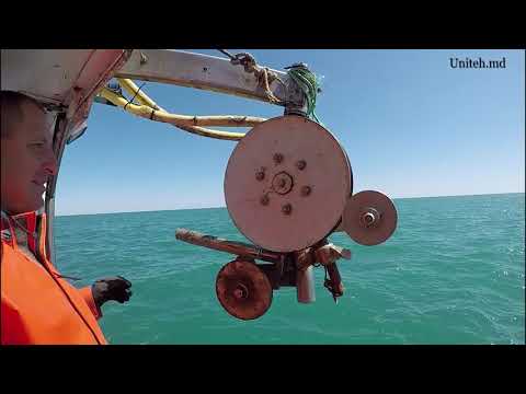 Видео: Как мы поймали 500 кг осьминога в средиземном море?