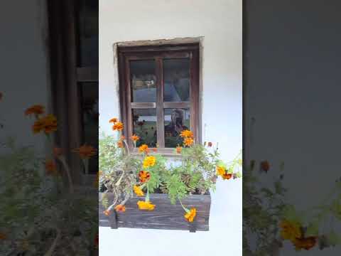 Видео: Музей 19-го века деревня Бран румыния!!)))🇷🇴 ￼ museum of the city brand Romania!!!))