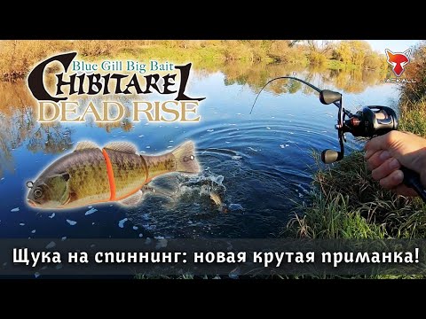 Видео: АДРЕНАЛИН зашкаливает! ПОКЛЕВКИ щуки из-под ног! Новый свимбейт CHIBITAREL показал себя героем