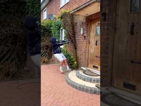 Видео: Красиво, пока не узнаешь, что под листьями...