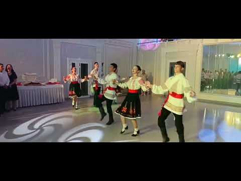 Видео: Лале, Хостропэц, выступление на свадьбе 07.09.2025
