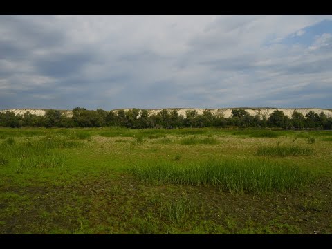 Видео: Hiking Exploring the Don River Peninsula and birdwatching Part 1 Исследую полуостров на реке Дон ч.1