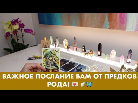 Видео: ВАЖНОЕ ПОСЛАНИЕ ВАМ ОТ ПРЕДКОВ РОДА! 💌 🪽🦋ТАРО ОРАКУЛ ОНЛАЙН ГАДАНИЕ