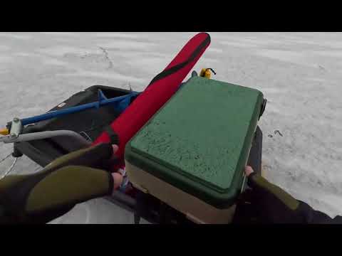 Видео: Только пробурил первую лунку, сразу удар. Ловля окуня на мормышку и балансир.