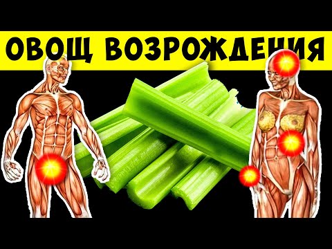 Видео: И что Будет, если кушать Сельдерей каждый день в течение 7 дней