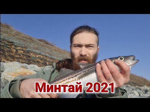 Видео: Минтай 2021 . Рыбалка на саркофаке.