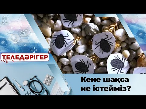 Видео: Кене шақса не істейміз? «Теледәрігер»