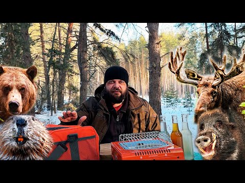 Видео: Дегустация различной еды из диких зверей: марал, кабан, медведь, бобер и другие